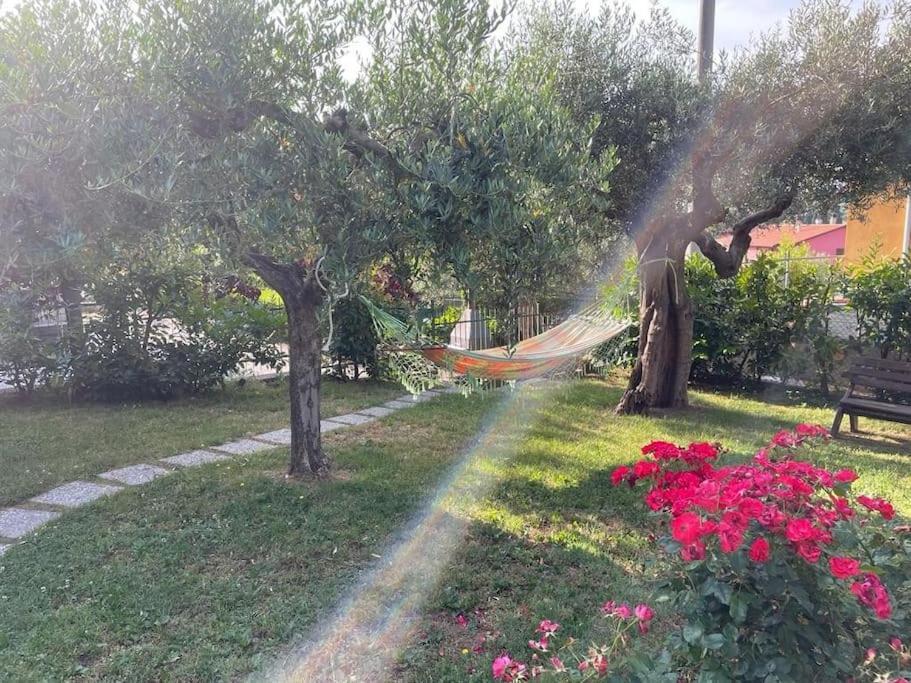 شقة La Dimora Delle Rose باسّينيانو سول تْرازي المظهر الخارجي الصورة
