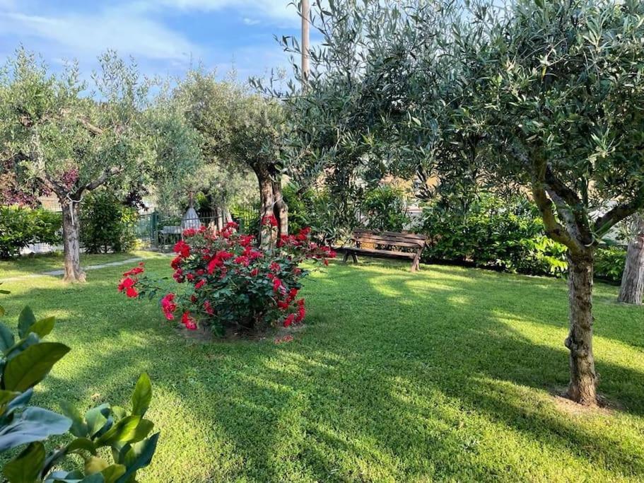 شقة La Dimora Delle Rose باسّينيانو سول تْرازي المظهر الخارجي الصورة